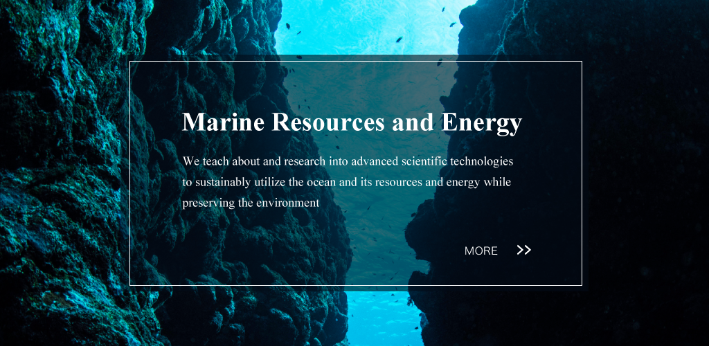 Marine Resources and Energy