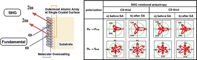 Figure 1. SHG rotational anisotropy observed at Au (111) surface modified by thiol SA film