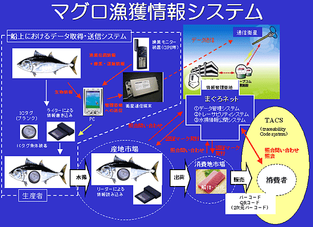 Figure 1. Sketch of the tuna catch information management system
