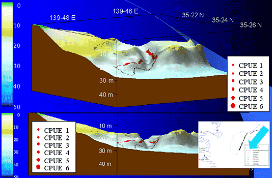 Figure 2. Superpositioning of fish-catch data onto three-dimensional topographic map of the seabed (Example of conger eel trap fishing in Tokyo Bay)