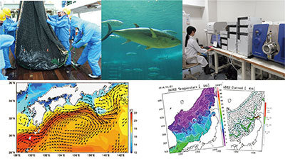 Japan Fisheries Research and Education Agency