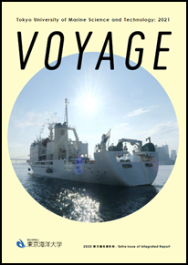 voyage.png