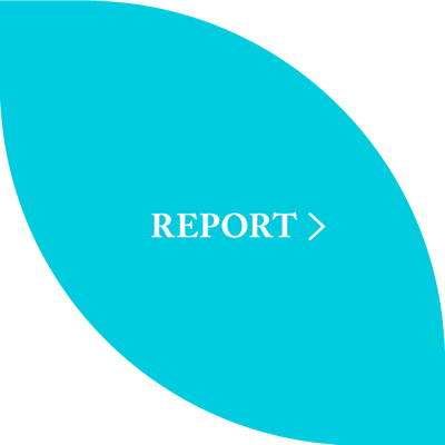 REPORT