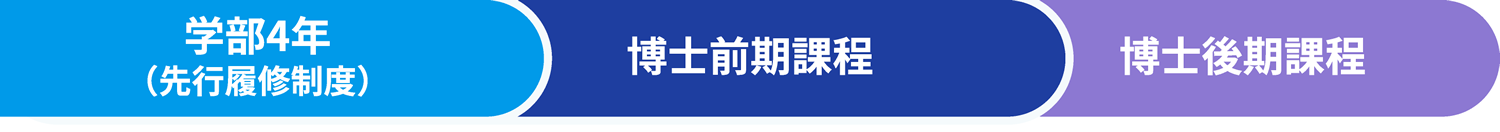 学部4年（先行履修制度）/博士前期課程/博士後期課程