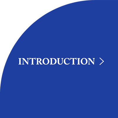 INTRODUCTION-概要