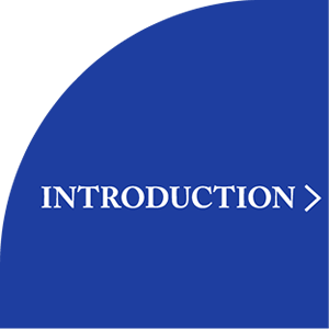 INTRODUCTION-概要