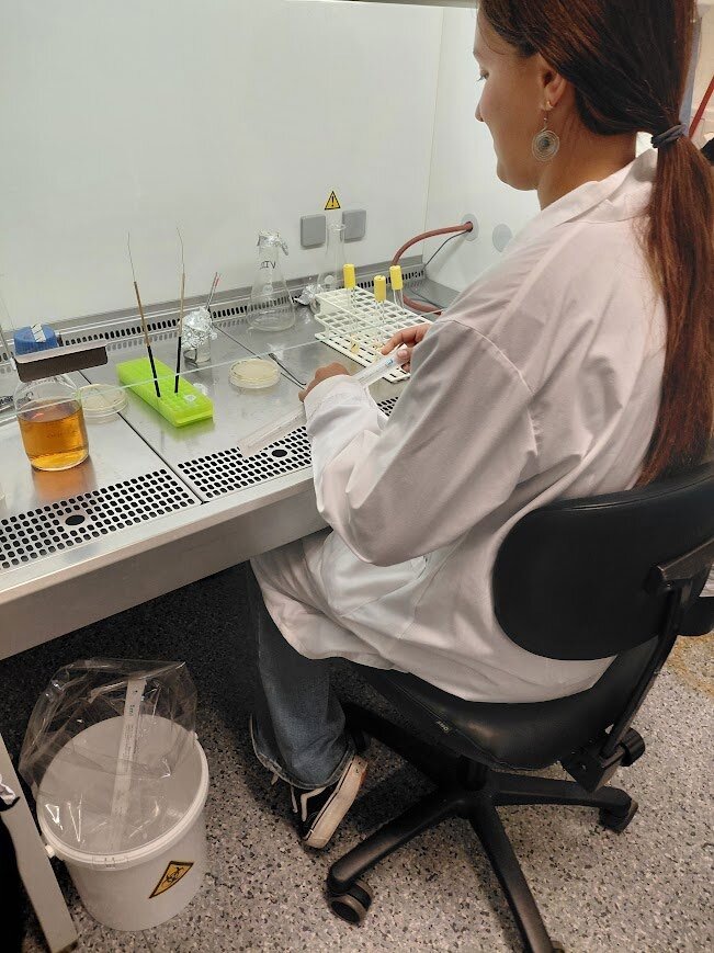 METIS 体験記（荒木典佳）学生実験.jpeg