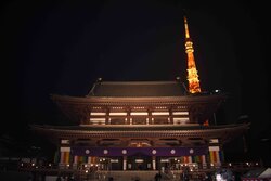 AT_Figure 13_small_ Zojoji temple on the night of New Year_s Eve.jpg