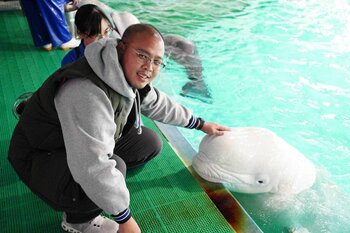 AT_Figure 2_small_ I touched the head of a beluga whale at Kamogawa Sea World.jpg
