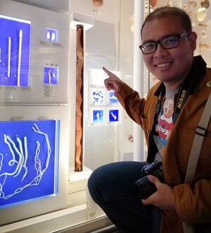 AT_Figure 15 The specimen of polychaete at National Museum of Nature and Science, Tokyo.jpg