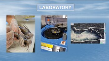 Picture 1_IKA Laboratory.jpg