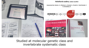 sec3.png