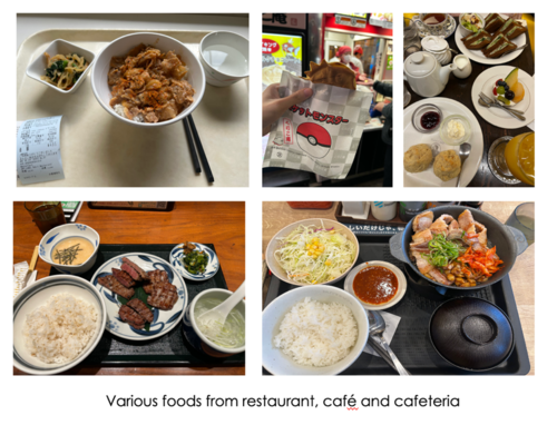 VariousFoods.png