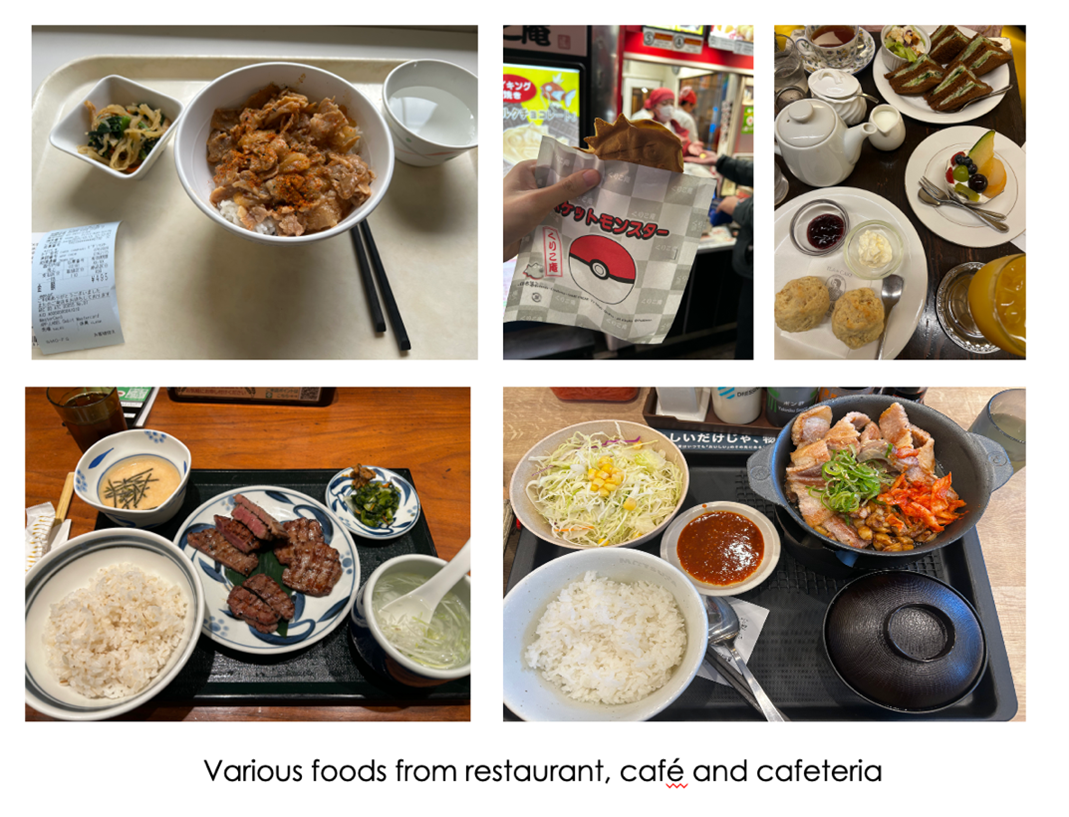https://www.g2.kaiyodai.ac.jp/oqeanous/eng/reports/img/VariousFoods.png