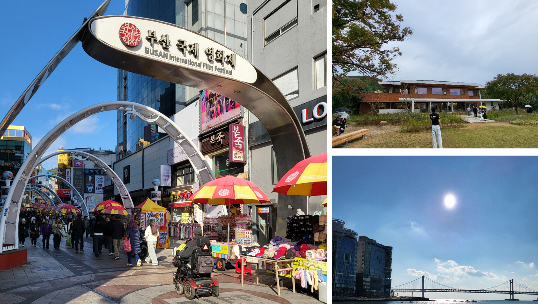 https://www.g2.kaiyodai.ac.jp/oqeanous/eng/reports/img/photos.png