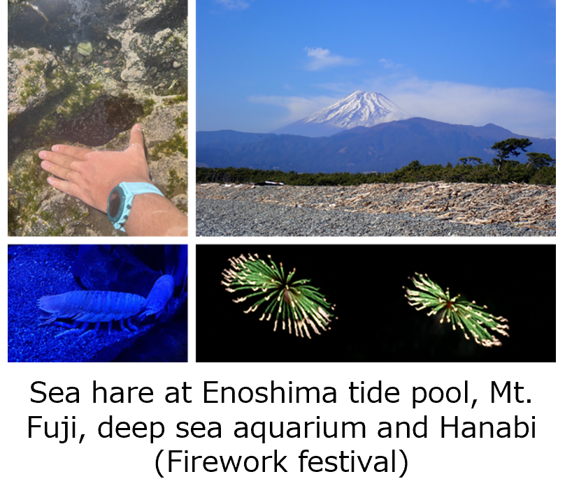https://www.g2.kaiyodai.ac.jp/oqeanous/eng/reports/img/sec5.png