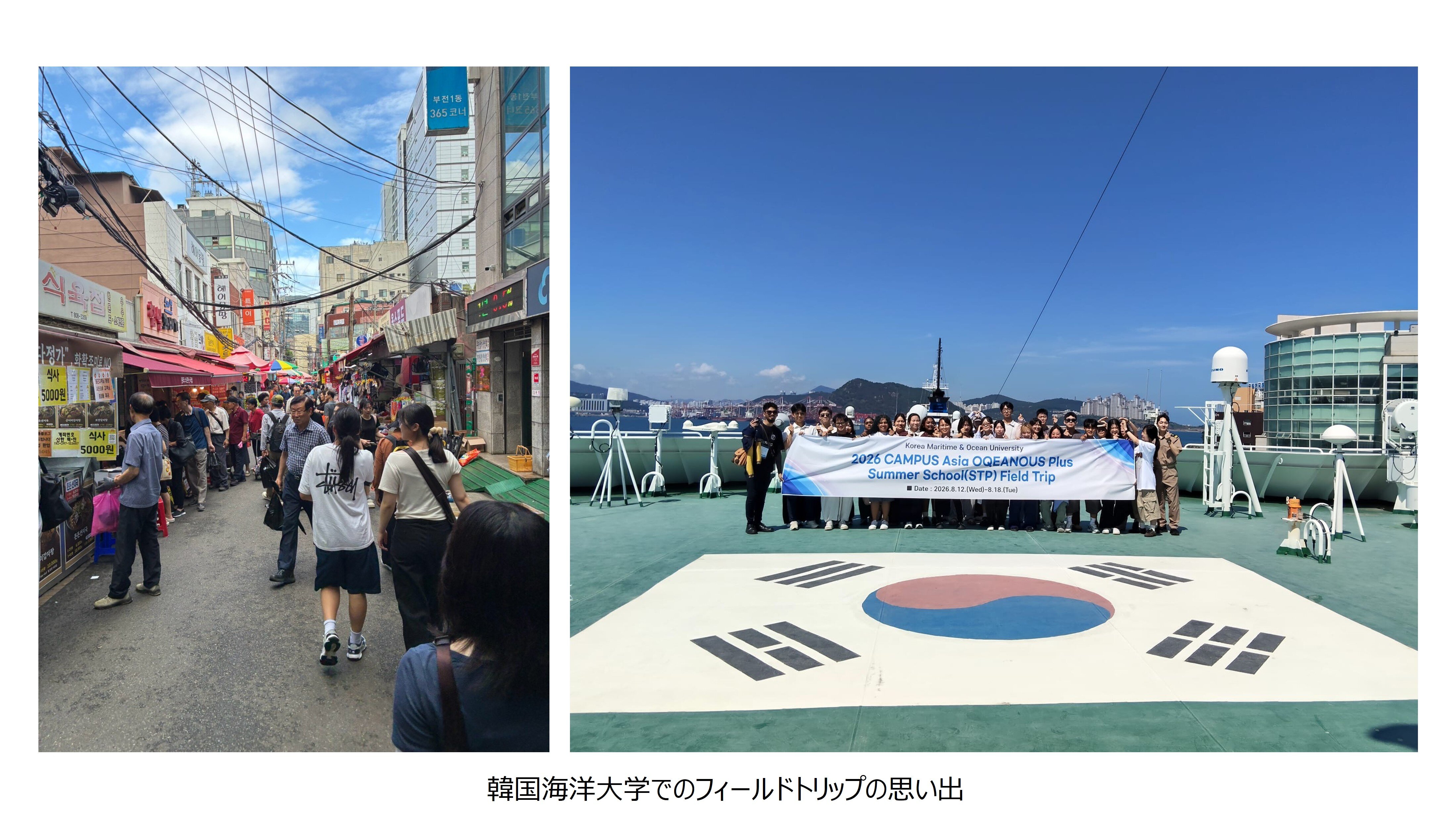 https://www.g2.kaiyodai.ac.jp/oqeanous/reports/2026/img/umemura_korea_jp.jpg