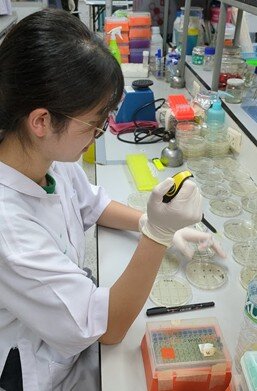 20250624_Fig1_Experiments in the lab.jpg