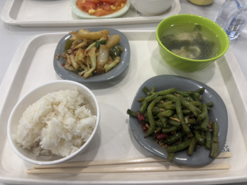 IJP_Seike_2.png